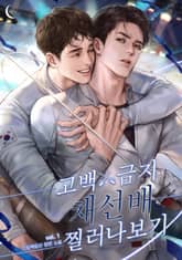 <고백금지 채선배 찔러나 보기> 세트 표지 이미지