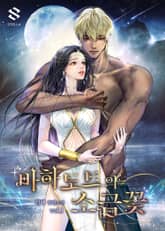 <바하도트의 소금꽃> 세트 표지 이미지