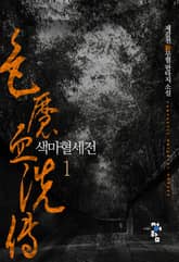 <색마혈세전> 세트 표지 이미지