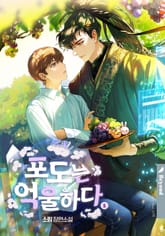 <포도는 억울하다> 세트