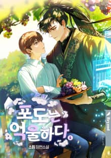 <포도는 억울하다> 세트