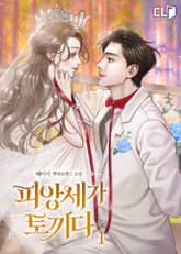 <피앙세가 토끼다> 세트 표지 이미지