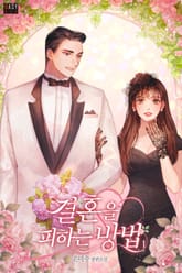 <결혼을 피하는 방법> 세트 표지 이미지