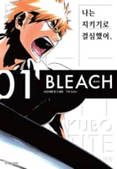 [특별 세트] 블리치 리믹스 (총 13권) 표지 이미지