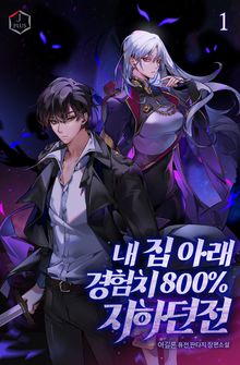 <내 집 아래 경험치 800% 지하던전> 세트
