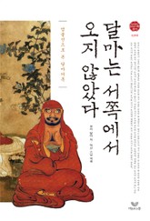 달마는 서쪽에서 오지 않았다 (달마어록 강설) 표지 이미지
