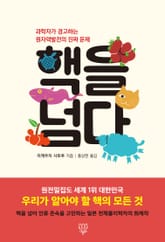 핵을 넘다 표지 이미지