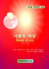 사랑의 허상 표지 이미지