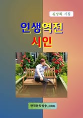 인생역전 시인 표지 이미지