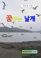 꿈꾸는 날개 표지 이미지