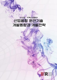 신산업·주력산업분야 산업융합 원천기술 개발동향과 개발전략