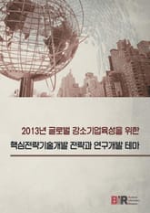 2013년 글로벌 강소기업육성을 위한 핵심전략기술개발 전략과 연구개발 테마 표지 이미지