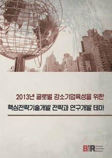 2013년 글로벌 강소기업육성을 위한 핵심전략기술개발 전략과 연구개발 테마