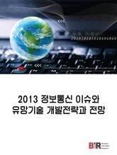 2013 정보통신 이슈와 유망기술 개발전략과 전망 표지 이미지