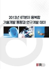 2013년 6T분야 융복합 기술개발 동향과 연구개발 테마 표지 이미지