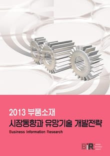 2013 부품소재 시장동향과 유망기술 개발전략