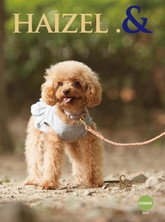 계간 HAIZEL .& 6호 (2014년 여름호) 표지 이미지