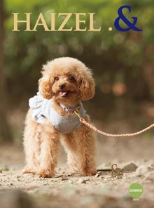계간 HAIZEL .& 6호 (2014년 여름호)