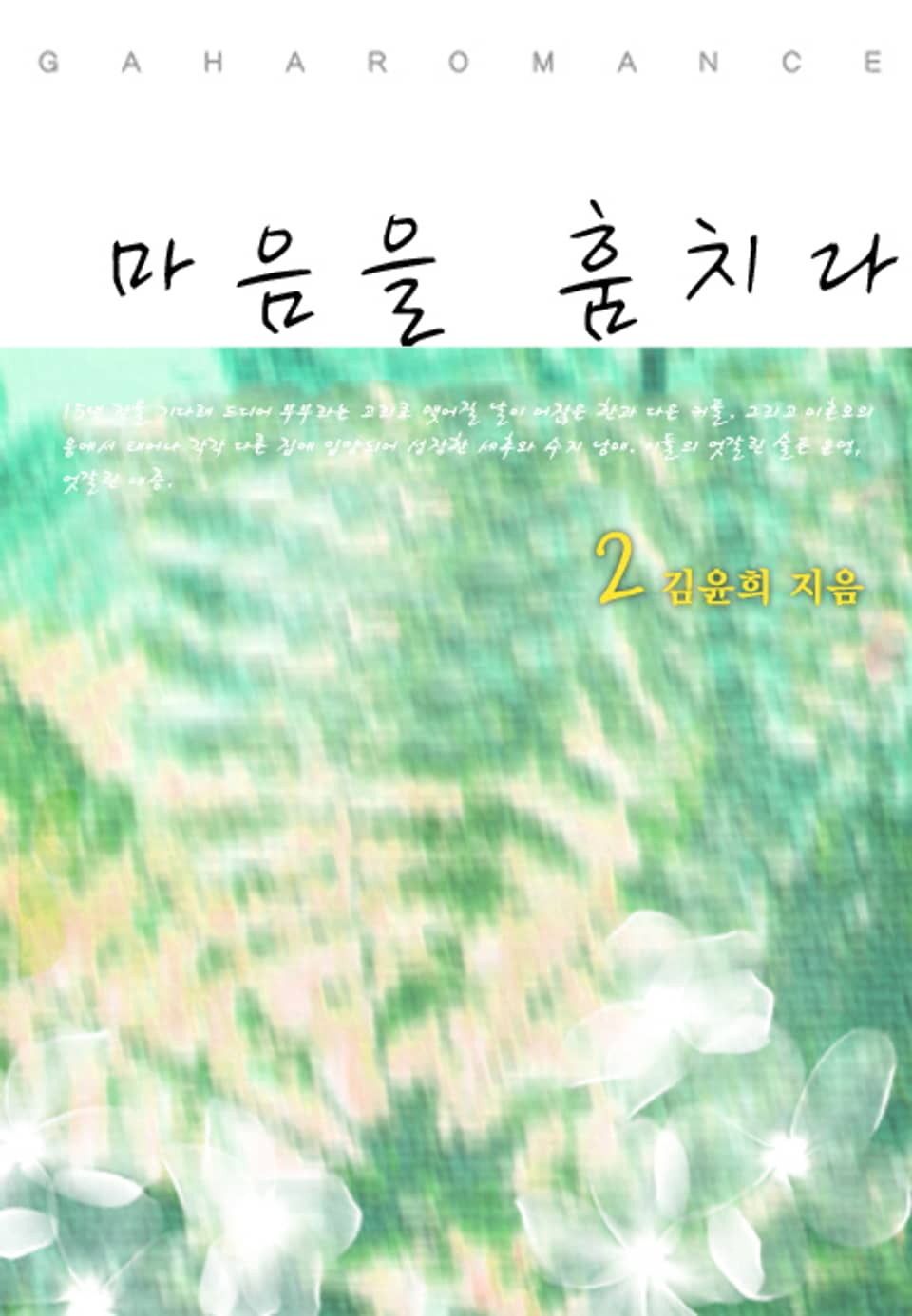 마음을 훔치다 2 (완결)