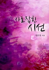 사로잡힌 시선 표지 이미지