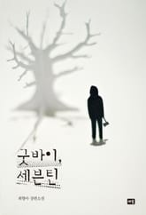 굿바이, 세븐틴 표지 이미지