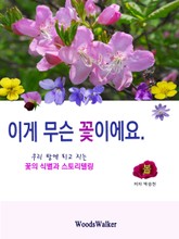 이게 무슨 꽃이에요-봄 표지 이미지