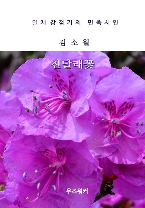 김소월의 진달래꽃 표지 이미지