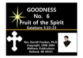 Christian Success Life Skills - 101 : GOODNESS 표지 이미지