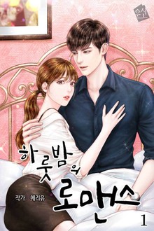 하룻밤의 로맨스