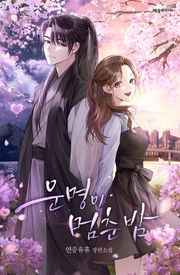 운명이 멈춘 밤