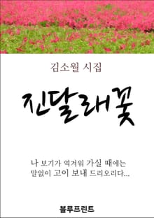 진달래꽃