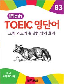 아이플래시 토익영단어 900 B3
