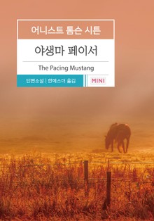 야생마 페이서