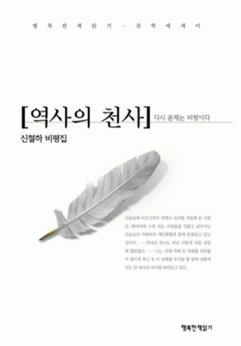 역사의 천사 - 다시 문제는 비평이다 표지 이미지