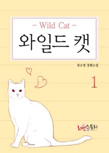 와일드 캣