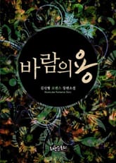 바람의 용 표지 이미지