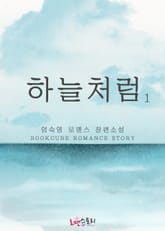 하늘처럼 표지 이미지