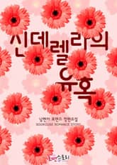 신데렐라의 유혹 표지 이미지