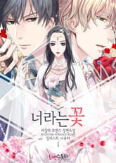 너라는 꽃 표지 이미지