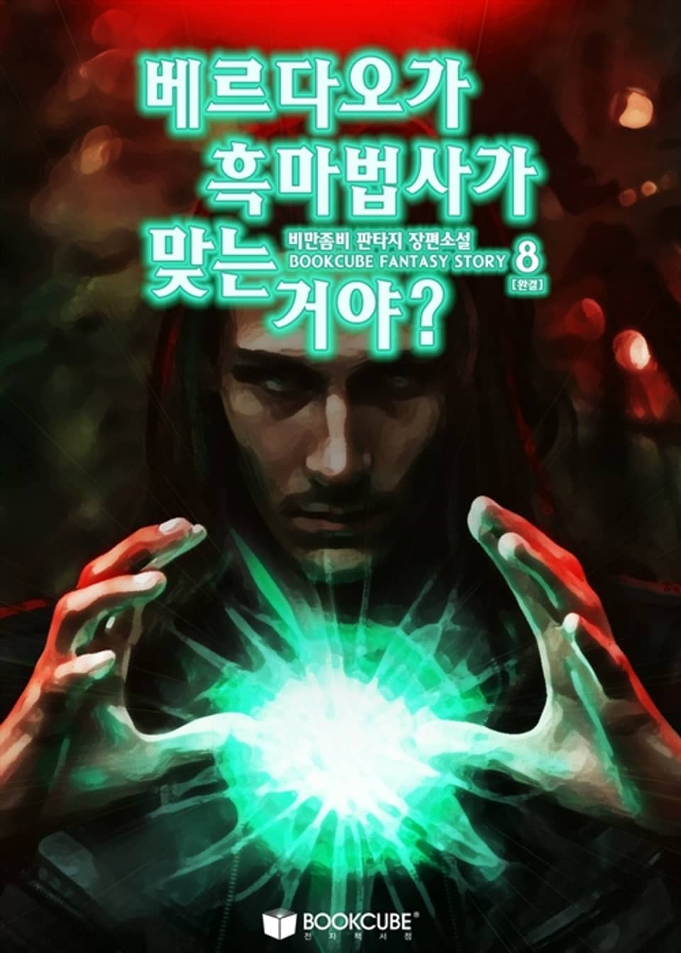 베르다오가 흑마법사가 맞는 거야? 8 (완결)