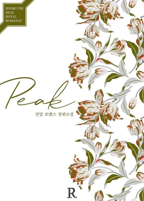 피크 (Peak) 표지 이미지