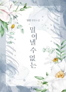 밀어낼 수 없는