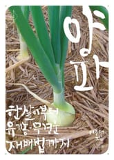 양파 표지 이미지