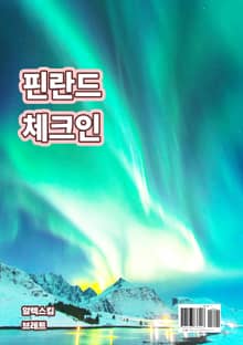 핀란드 체크인