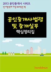 2013 공인중개사 공인중개사법령 및 중개실무 핵심정리 표지 이미지