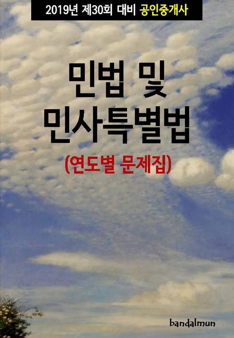 2019년 제30회 대비 공인중개사 민법 및 민사특별법 (연도별 문제집) 표지 이미지