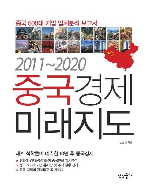 2011~2020 중국경제미래지도 표지 이미지