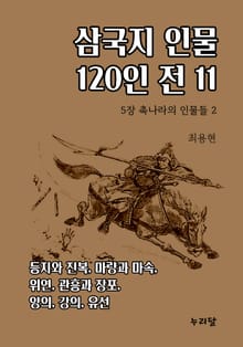 삼국지 인물 120인전 11권