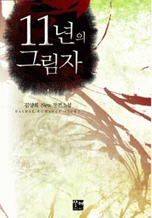 11년의 그림자