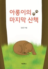 아롱이의 마지막 산책 표지 이미지